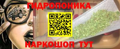 шишки Коммунар