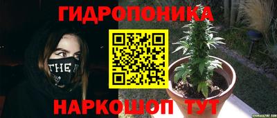 гидра Конаково